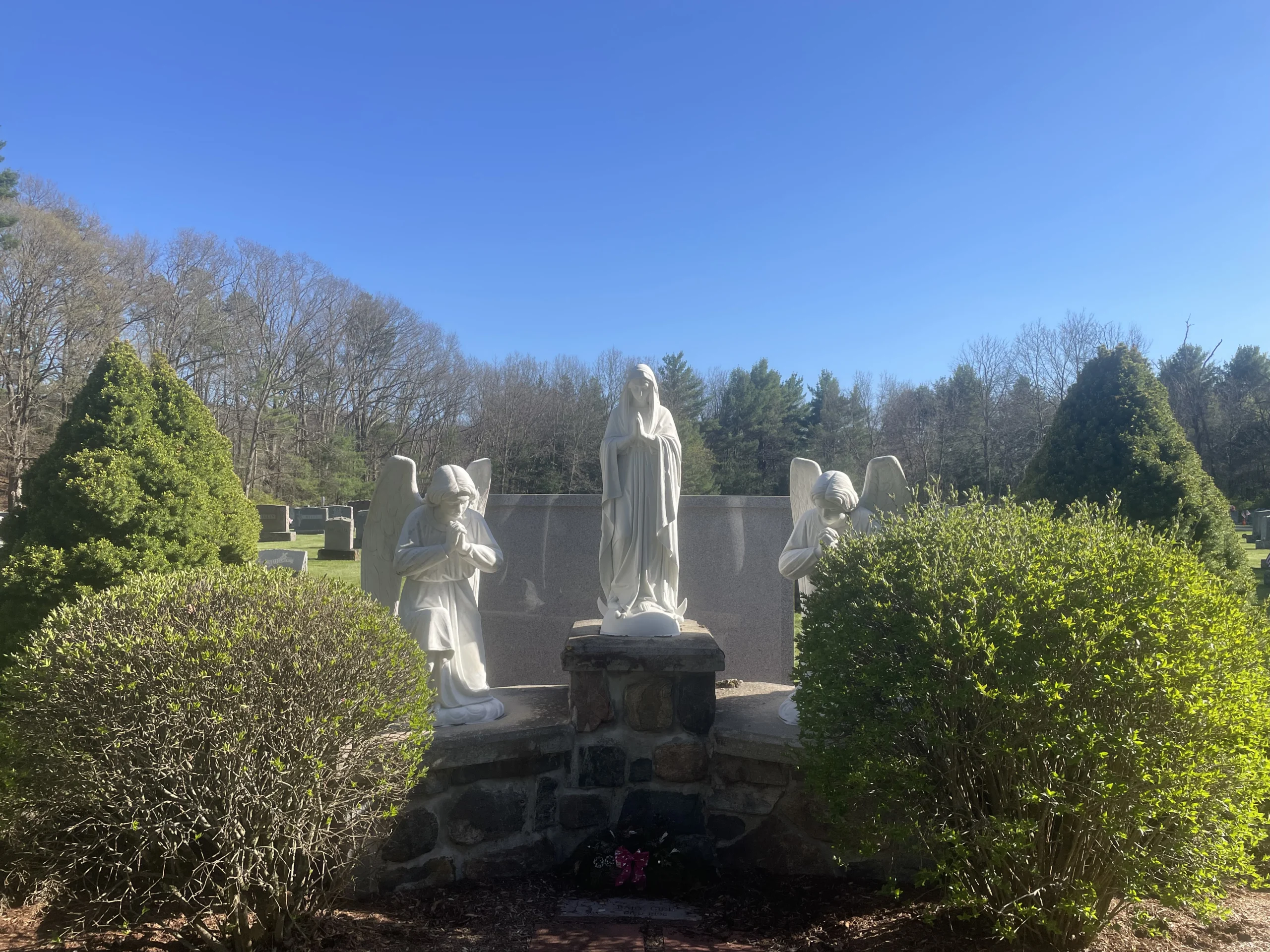 Saint Willian New-Ware